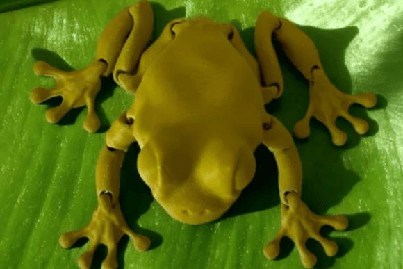 Articulated Clean Frog: A Versatile 3D Printable Tree Frog Design